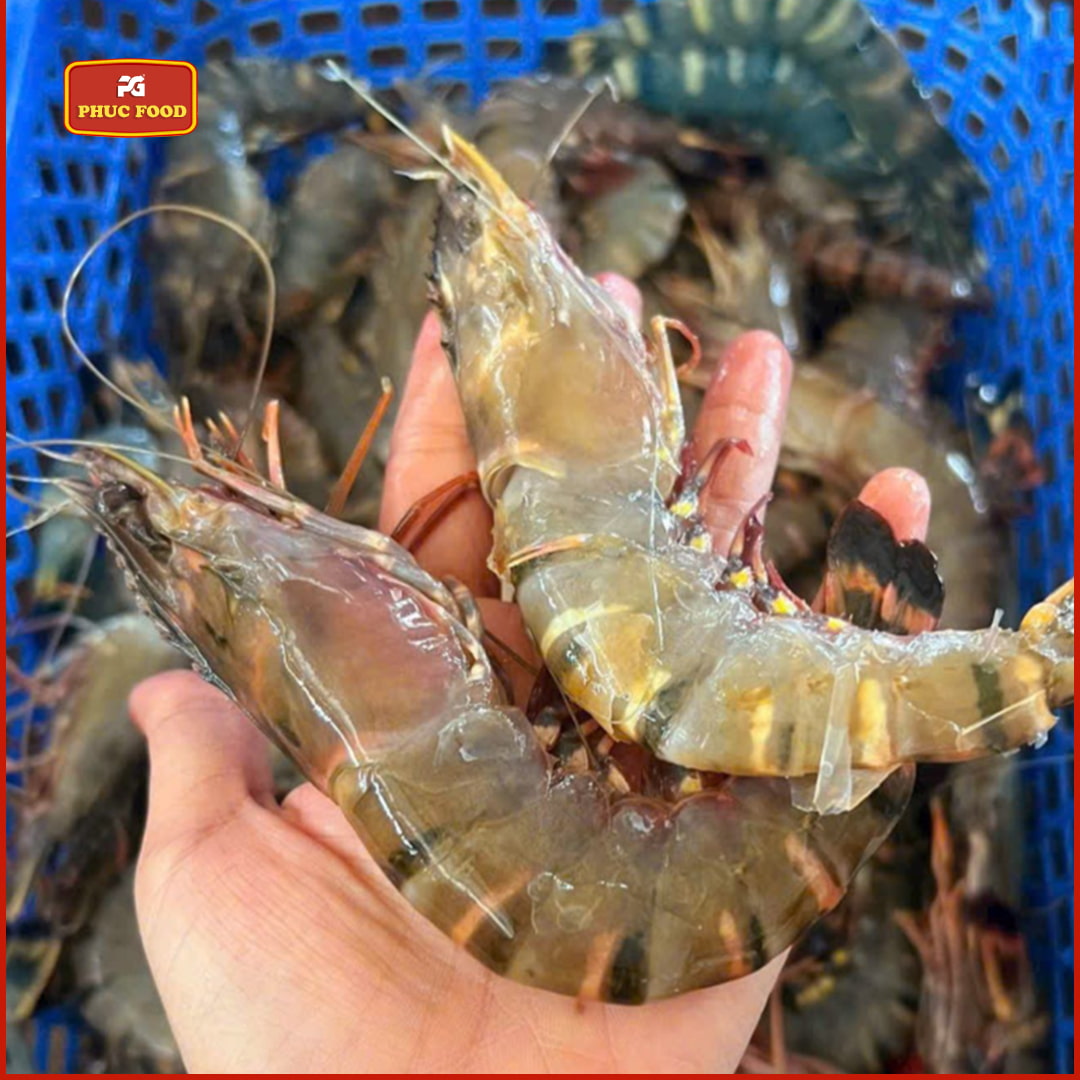 Tôm Su Lột